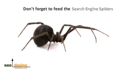 SEO Tips for Search Engine Spiders