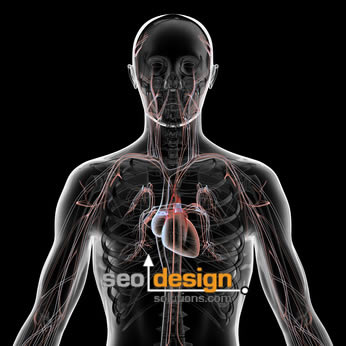 SEO Circulatory System